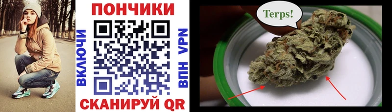 Купить закладку Качканар Бошки Шишки APVP Гашиш Кетамин Cocaine Меф мяу мяу