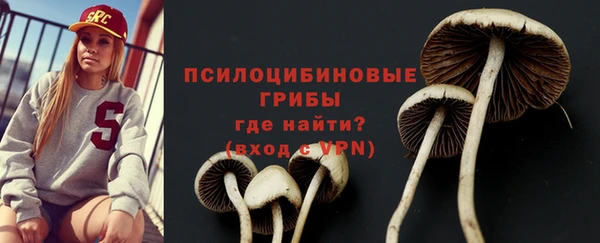 2c-b Верхний Тагил