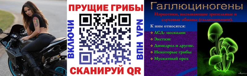 Псилоцибиновые грибы MAGIC MUSHROOMS  что такое   Качканар 